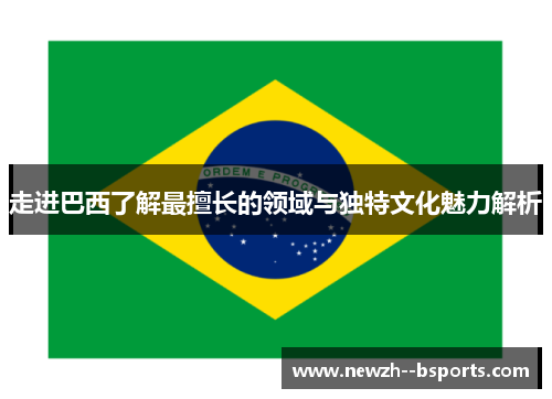走进巴西了解最擅长的领域与独特文化魅力解析