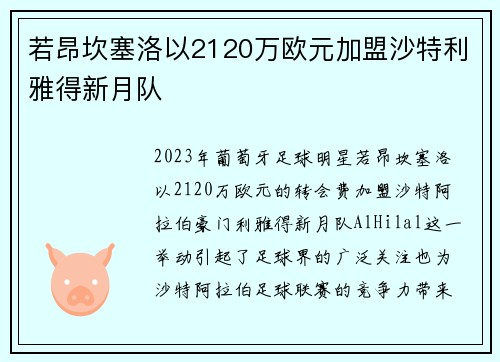 若昂坎塞洛以2120万欧元加盟沙特利雅得新月队