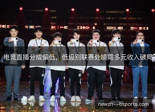 电竞直播分成偏低，低级别联赛处境需多元收入破局